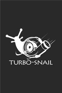 Turbo snail