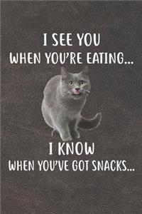 I See You When You're Eating I Know When You've Got Snacks Notebook Journal