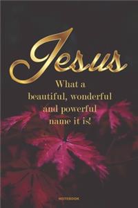 JESUS What a beautiful, wonderful and powerful name it is!: A 6x9 college ruled blank lined Gift Journal with Autumn Purple Leaves for Christian Women