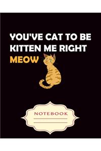 You've Cat to Be Kitten Me Right Meow