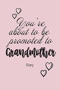 You're about to be promoted to GRANDMOTHER Diary