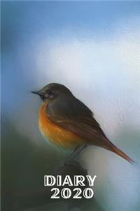 Diary 2020