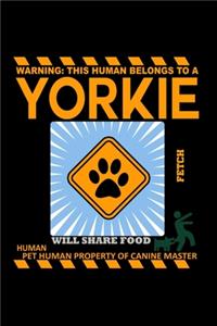 Yorkie