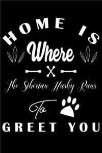 Home is where the Siberian Husky to Greet you