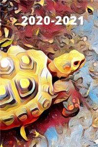 Yellow & Grey Turtle Tortoise Tortuga Lover's Dated Weekly 2 year Calendar Planner Women