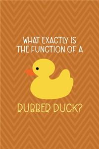 What Exactly Is The Function Of A Rubber Duck?