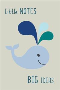 Little Notes big ides