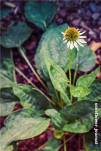 Coneflower Journal