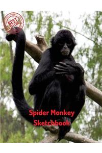 Spider Monkey Sketchbook
