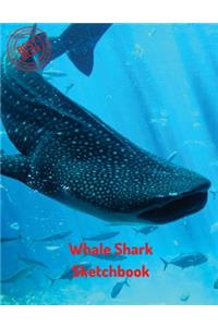 Whale Shark Sketchbook