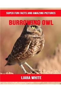 Burrowing Owl: Super Fun Facts and Amazing Pictures