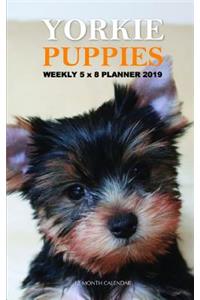 Yorkie Puppies Weekly 5 X 8 Planner 2019