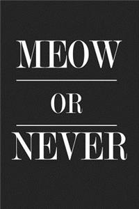 Meow or Never
