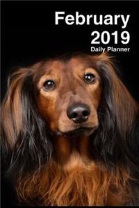 February 2019 Daily Planner