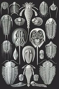 Haeckel Scientific Biological Art Notebook