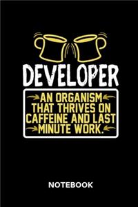 Developer - Notebook