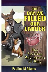The Exciting Adventures of Amy