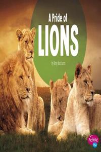 Pride of Lions