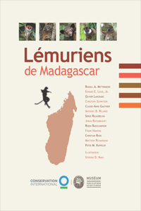 Lémuriens de Madagascar