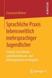 Sprachliche Praxis lebensweltlich mehrsprachiger Jugendlicher