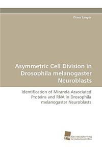 Asymmetric Cell Division in Drosophila Melanogaster Neuroblasts