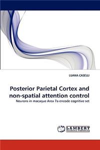 Posterior Parietal Cortex and non-spatial attention control