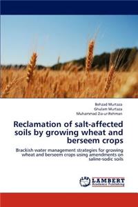 Reclamation of Salt-Affected Soils by Growing Wheat and Berseem Crops