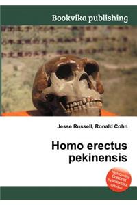 Homo Erectus Pekinensis