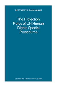 Protection Roles of UN Human Rights Special Procedures