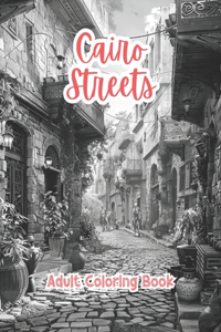 Cairo Streets Adult Coloring Book Grayscale Images By TaylorStonelyArt