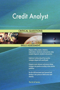 Credit Analyst Critical Questions Skills Assessment