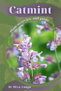 Catmint