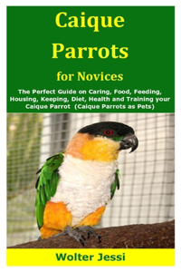 Caique Parrots for Novices