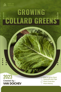 Collard Greens