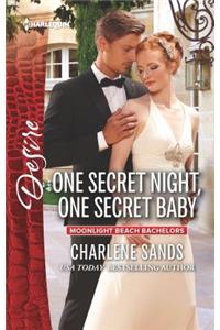 One Secret Night, One Secret Baby