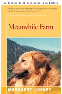 Meanwhile Farm