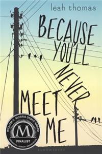 Because You'll Never Meet Me