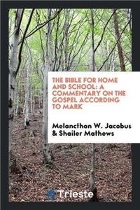Bible for Home and School