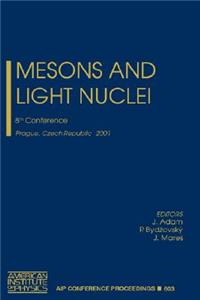 Mesons and Light Nuclei