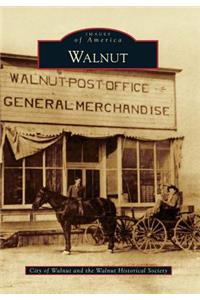Walnut