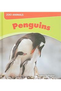 Us Myl Zooa Penguins