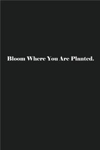 Bloom Where You Are Planted.