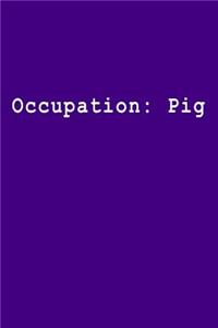 Occupation
