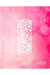 I 2019 - 2020