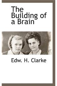 The Building of a Brain
