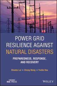 Power Grid Resilience against Natural Disasters - Preparedness, Response, and Recovery