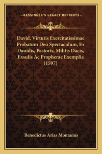 David, Virtutis Exercitatissimae Probatum Deo Spectaculum, Ex Dauidis, Pastoris, Militis Dacis, Exsulis Ac Propherae Exemplia (1597)