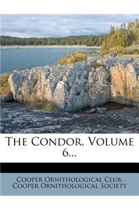 The Condor, Volume 6...