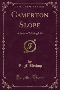 Camerton Slope
