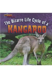 Bizarre Life Cycle of a Kangaroo